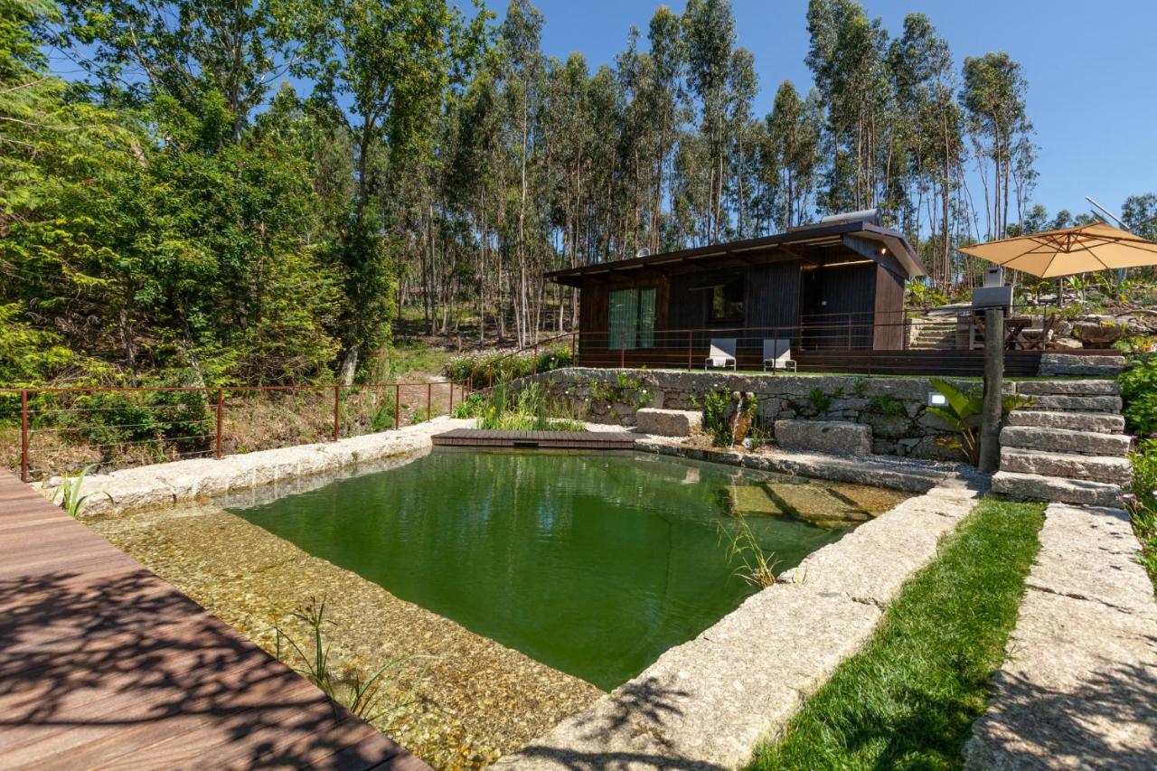 Villa Casa Do Monte Da Veiga - Minho'S Guest à Póvoa de Lanhoso Extérieur photo